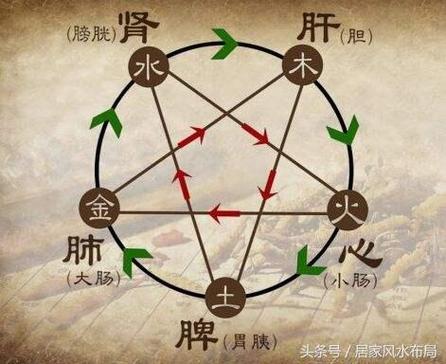 五行属木需要什么来旺