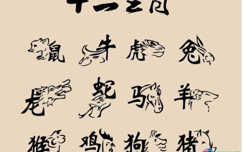 12生肖七月份应该注意什么