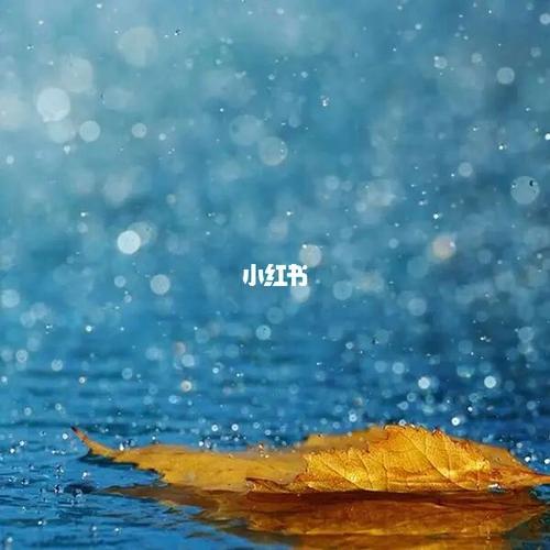 双子座什么时候会捕风捉影听风就是雨