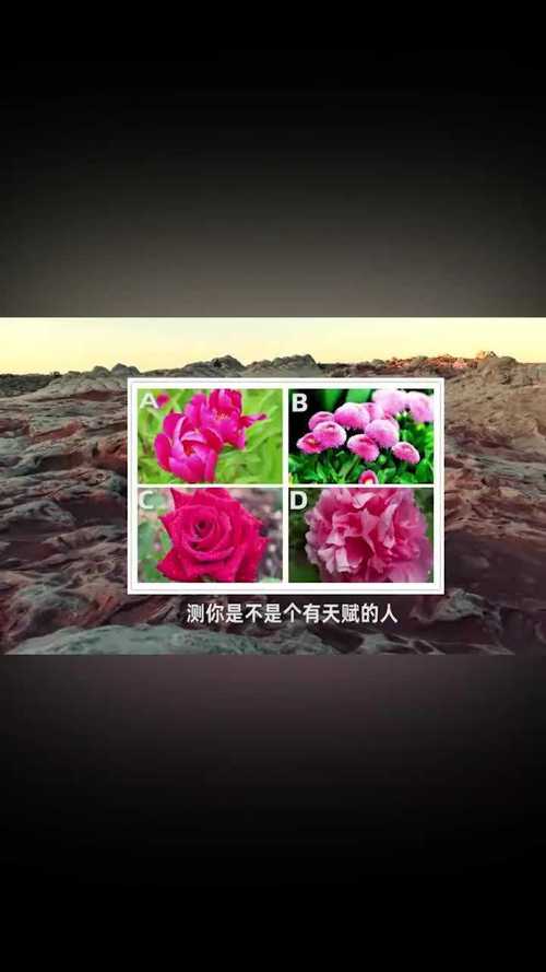 测你是不是ta最心仪的对象