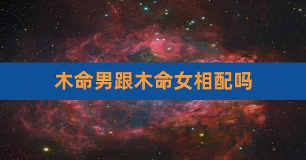 木命的女人找什么命的男人