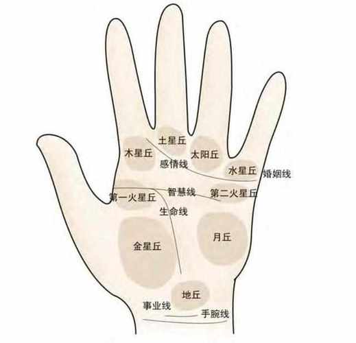 任先生看手相是真的吗