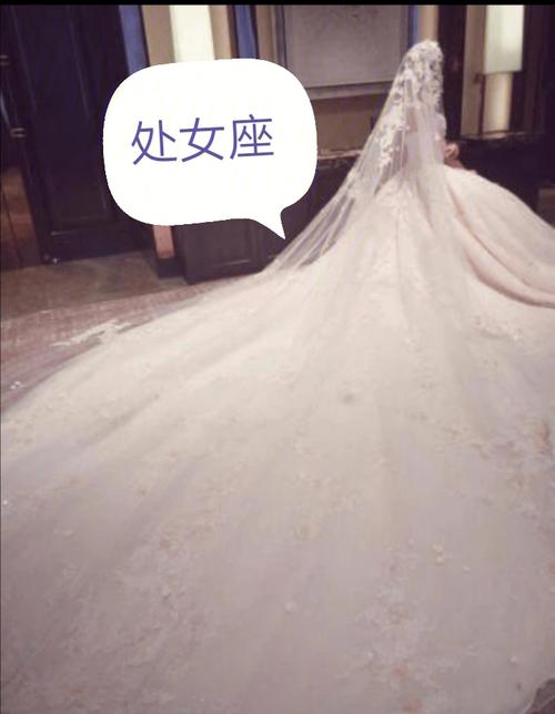 12星座专属婚纱图片