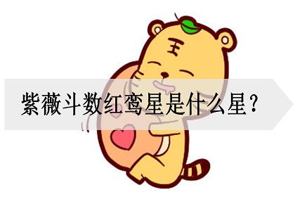 总论紫微斗数之红鸾星(一)