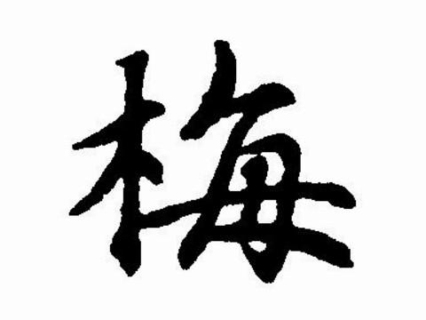 梅字五行属什么的,请问梅字五行属什么
