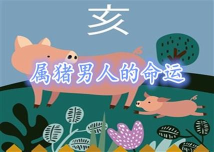 属猪人对自己的处事能力打几分