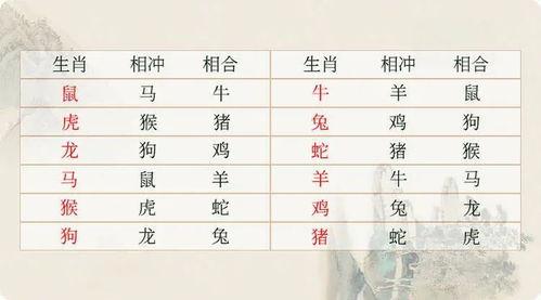 生肖鼠增加子女缘最快的方法
