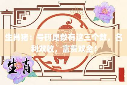 属猪手机尾号什么最好