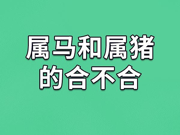 属猪和属马的相配吗