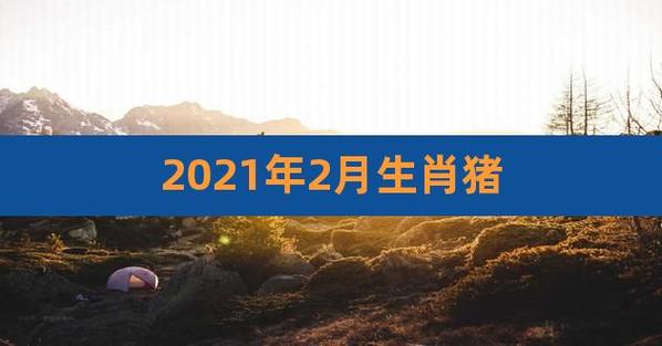 属猪人2023年2月吉祥数字是多少