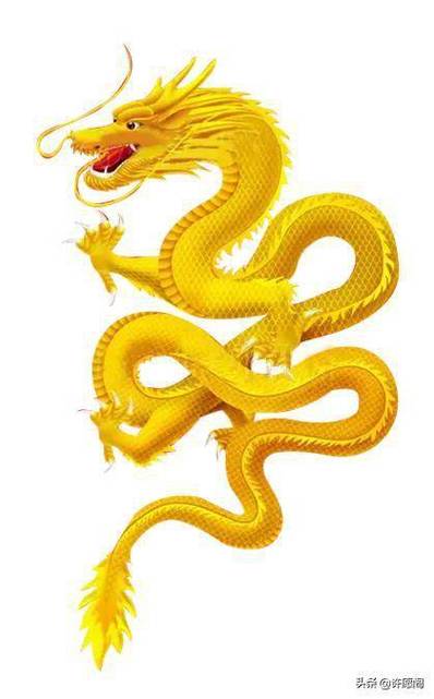 属龙怎么挑选新手机