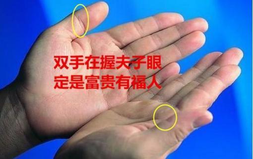 杨柳木命人手上有夫子眼运势如何?