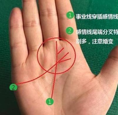 感情线末端有竖线穿过的人大多见多识广、博学多才?