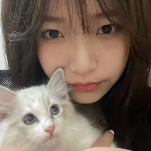 梦见自己是一只猫