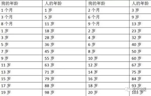 1982年狗的退休时间是哪年,55岁左右退休正合适