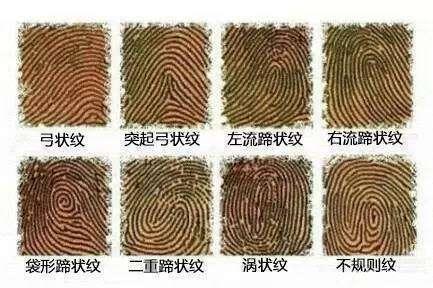 手上指纹斗与簸箕的解释意义