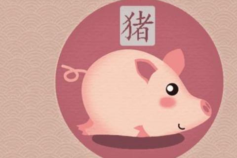 女羊男猪生肖配对姻缘