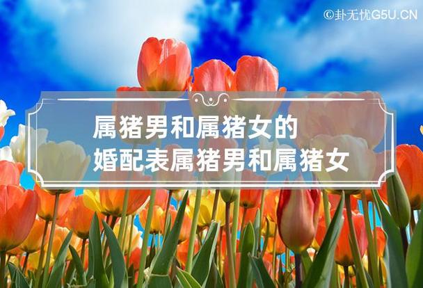 属猪的和什么属相最配_属猪婚配表