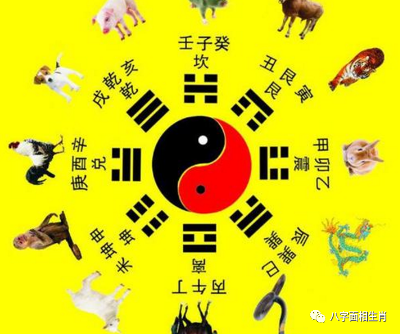 十二生肖中比财运较好的属相
