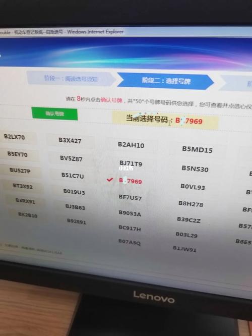 属羊人适宜的车牌号数字选择解析