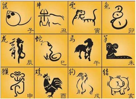 什么生肖的人学周易最有潜力