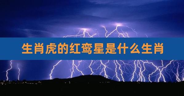 属虎红鸾星动是哪年