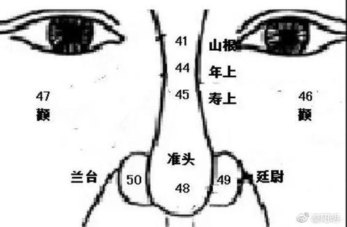 鼻子看相:马鞍鼻面相好不好?
