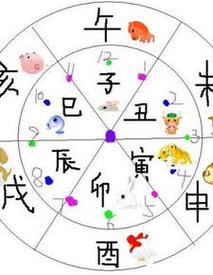 生肖时辰:卯时属什么?