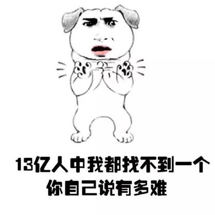 属兔的谎言到底能说多真
