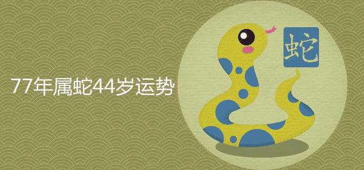 属蛇的终身的幸运数字