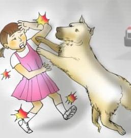 梦见狗咬孩子 梦见狗咬孩子我把狗打死了