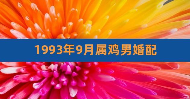 93年属鸡婚配93年鸡男