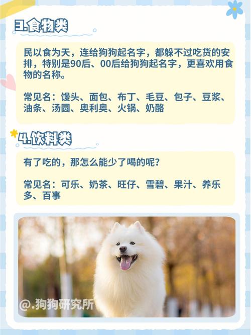 给宠物狗起名叫什么