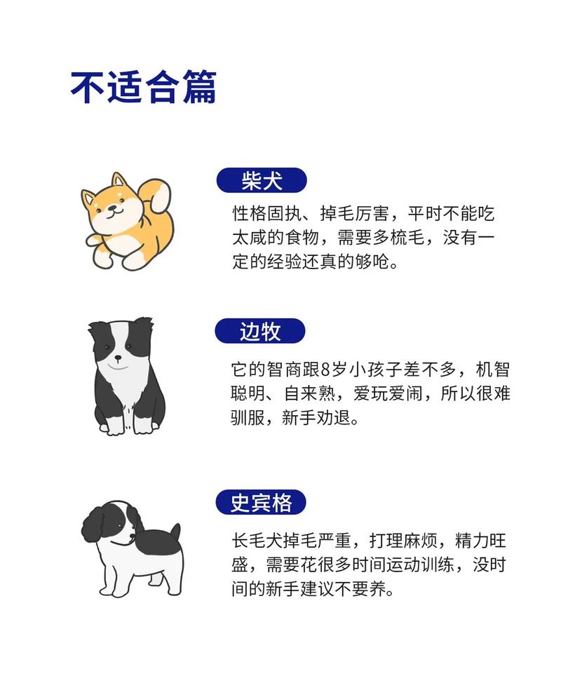 哪些生肖适合养狗?