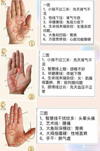 手掌乱纹精解看你是什么命运