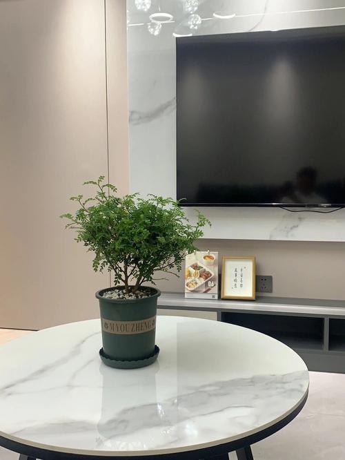 清香木在家里有忌讳吗