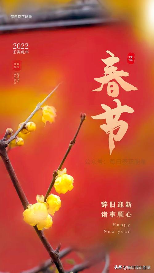2022年过年是什么