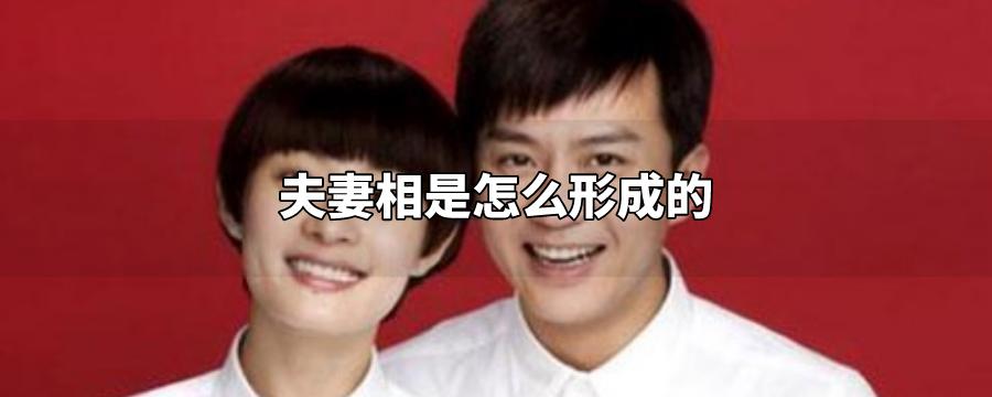 揭秘不为人知的夫妻相