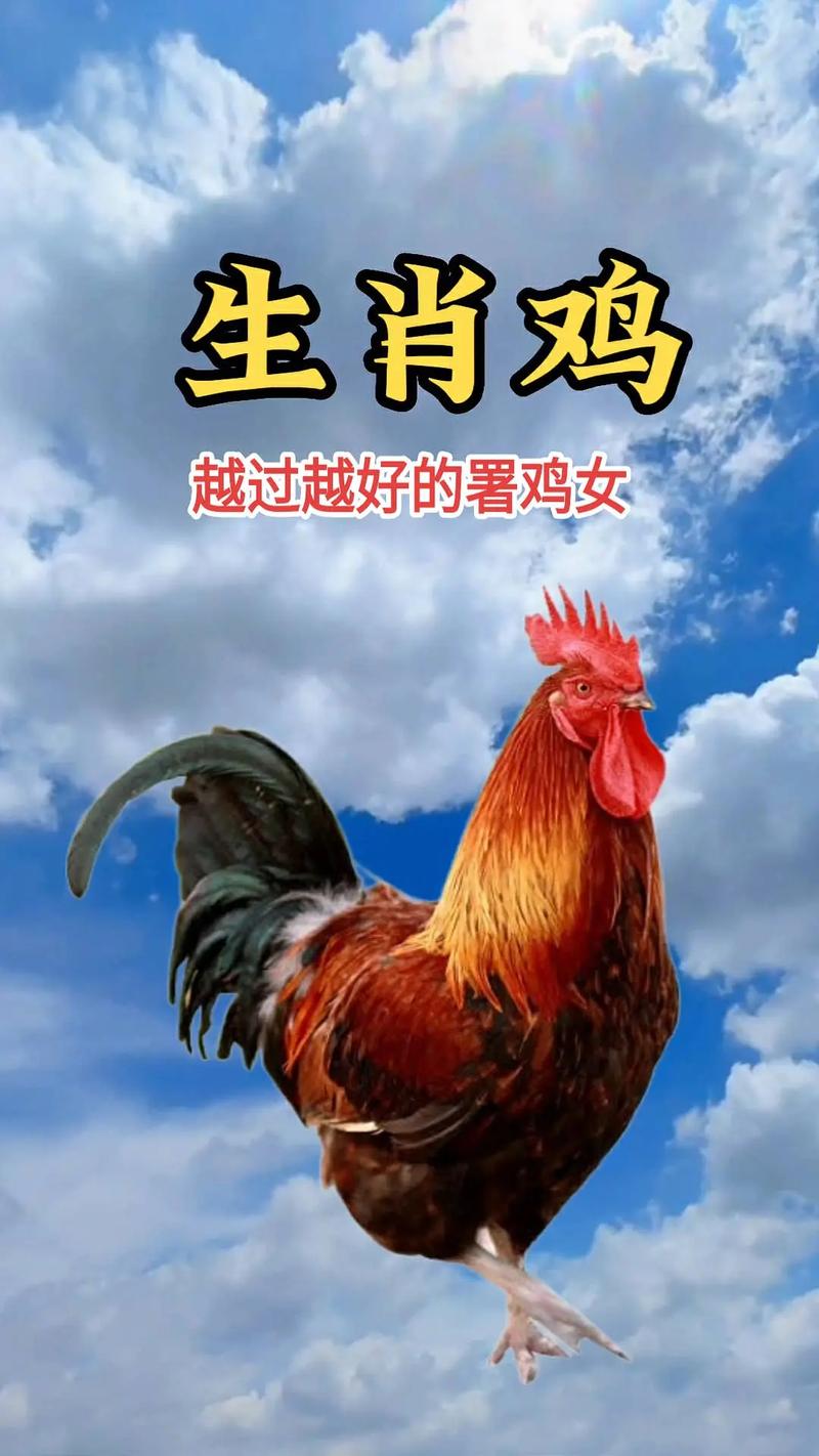 生肖鸡(男)尽显男人本色