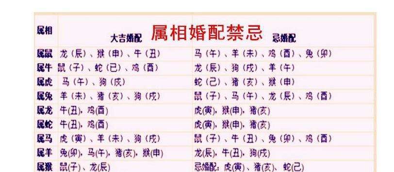 最狡猾的属相(最佳婚配属相)