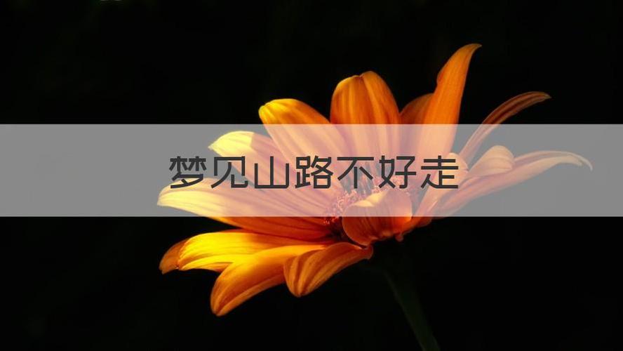 梦见山路不好走