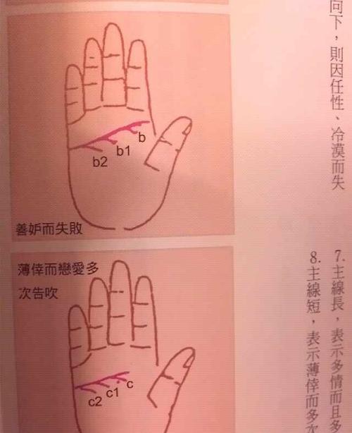 感情线向下支线多图解