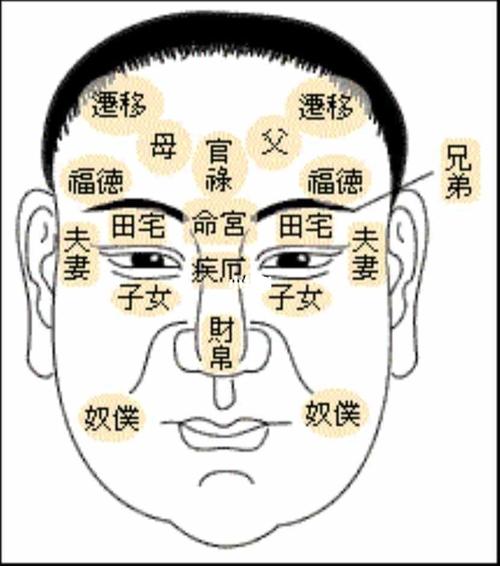 好男人面相特点