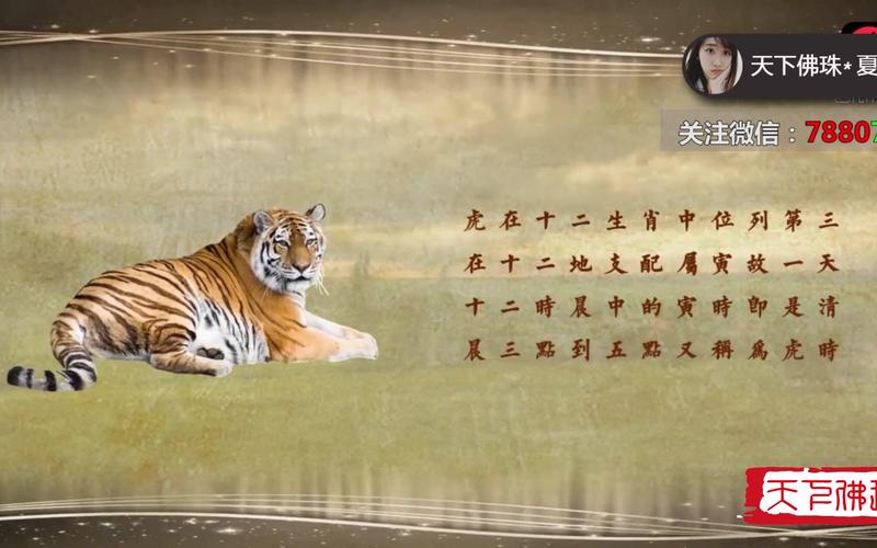 属虎的和什么属相最旺财 属虎助旺生肖是谁