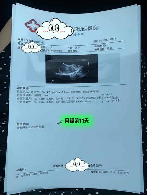 郑博士 每周运势提前报8.19-8.25