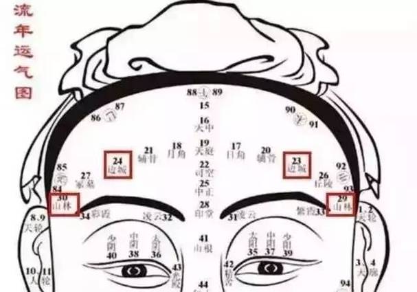 额头面相图解 额头面相图解男一眼便知