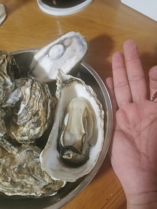 梦见半截鱼 梦见半截鱼尾巴