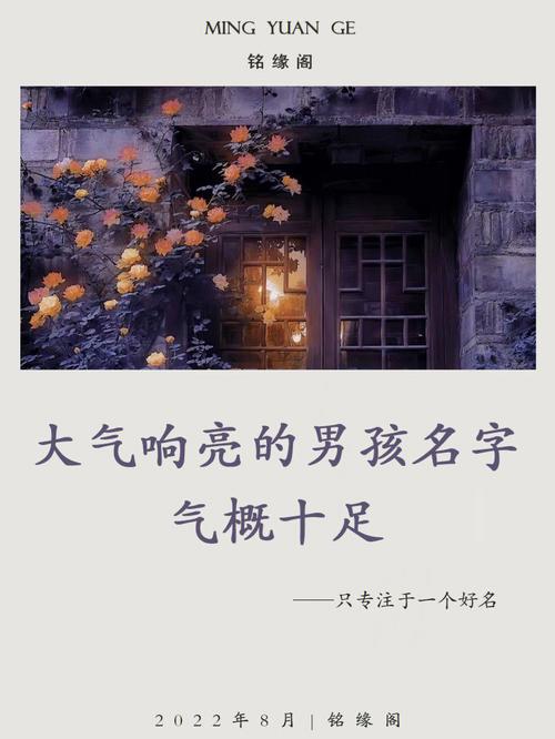 霸气响亮的男孩名字什么鲁好