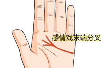 女人感情线末端分叉代表是恋爱高手?