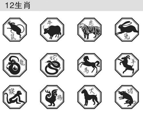 属鼠的四大忌有哪几个